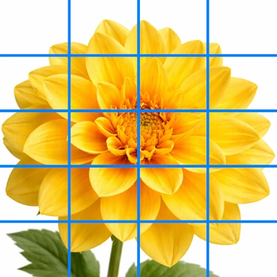 blue grid lines over photograph of a yellow flower.