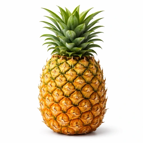 Brighten or Darken Image Online Free Tool demo showing how to create a white sketch on gray paper.