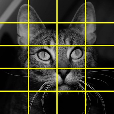 monochrome cat photo with yellow grid over image.
