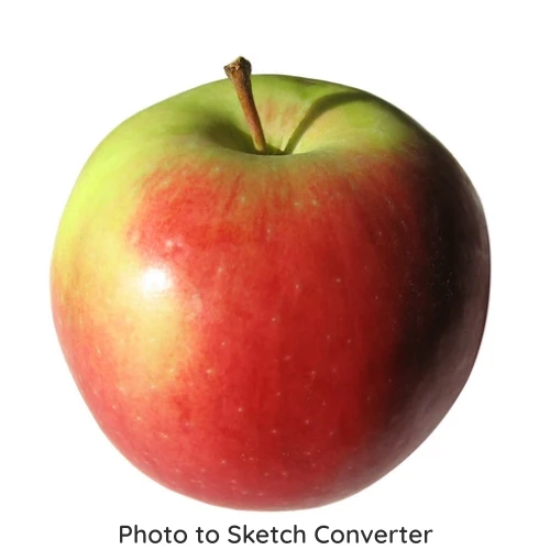 Clone tool demo showing how to add missing lines to sketch of an apple.