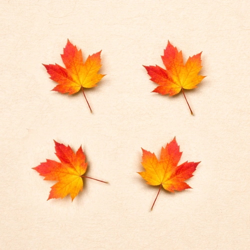 Clone tool removing object from image online