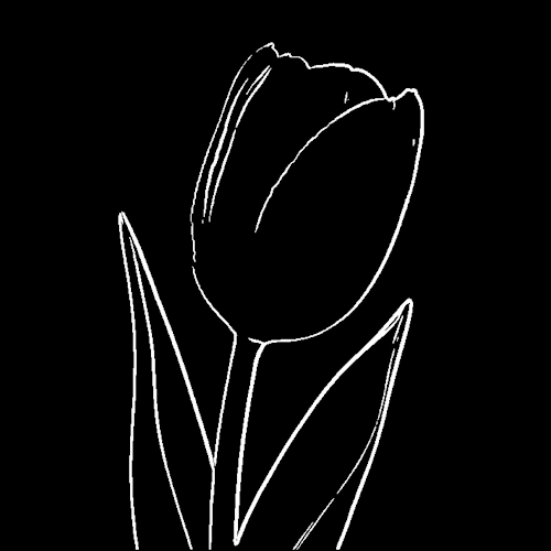 Invert Images Online Free tool demo showing pencil sketch on white background turned to white lines on black background.