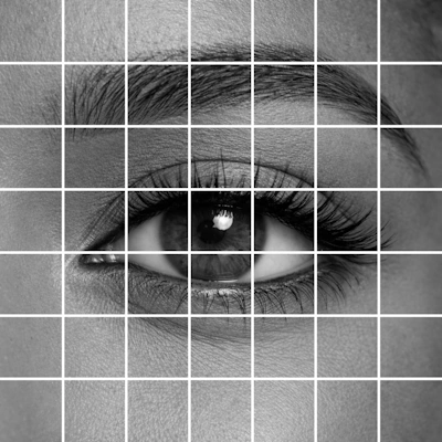 monochrome photo of a human eye with white grid placed over image.