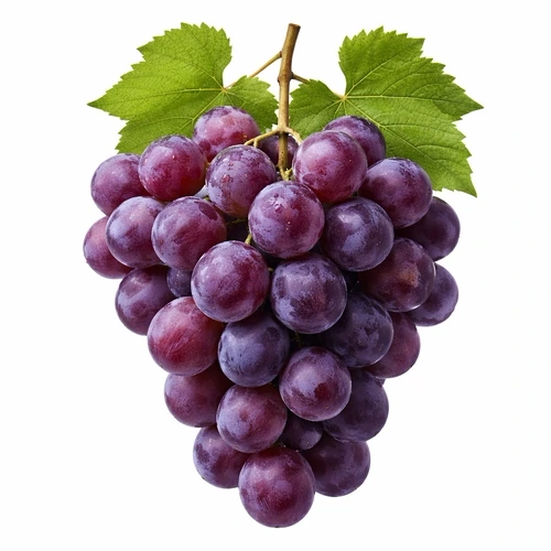 webp animation showing how to fill a sketch to make toned paper